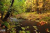 /album/fotogaleria-inicio1/a8156647841-jpg/
