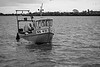 /album/fotogaleria-inicio2/a8165273576-jpg/